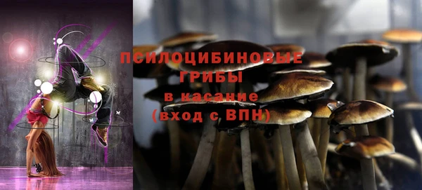мдпв Осинники
