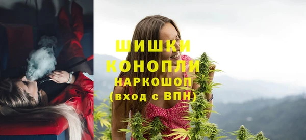 винт Нягань