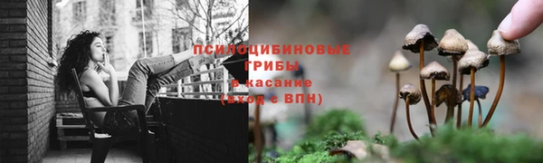 спиды Пестово