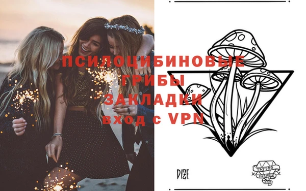 мдпв Осинники