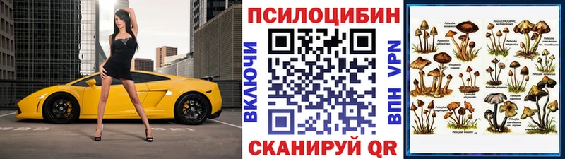omg сайт  где продают   shop наркотические препараты  Псилоцибиновые грибы прущие грибы  Каменка 