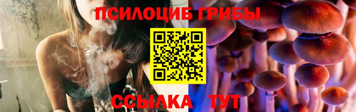 Галлюциногенные грибы прущие грибы Каменка